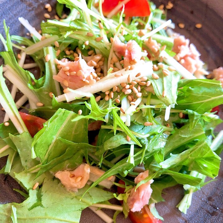 混ぜるだけ!水菜とツナのさっぱりトマトサラダ